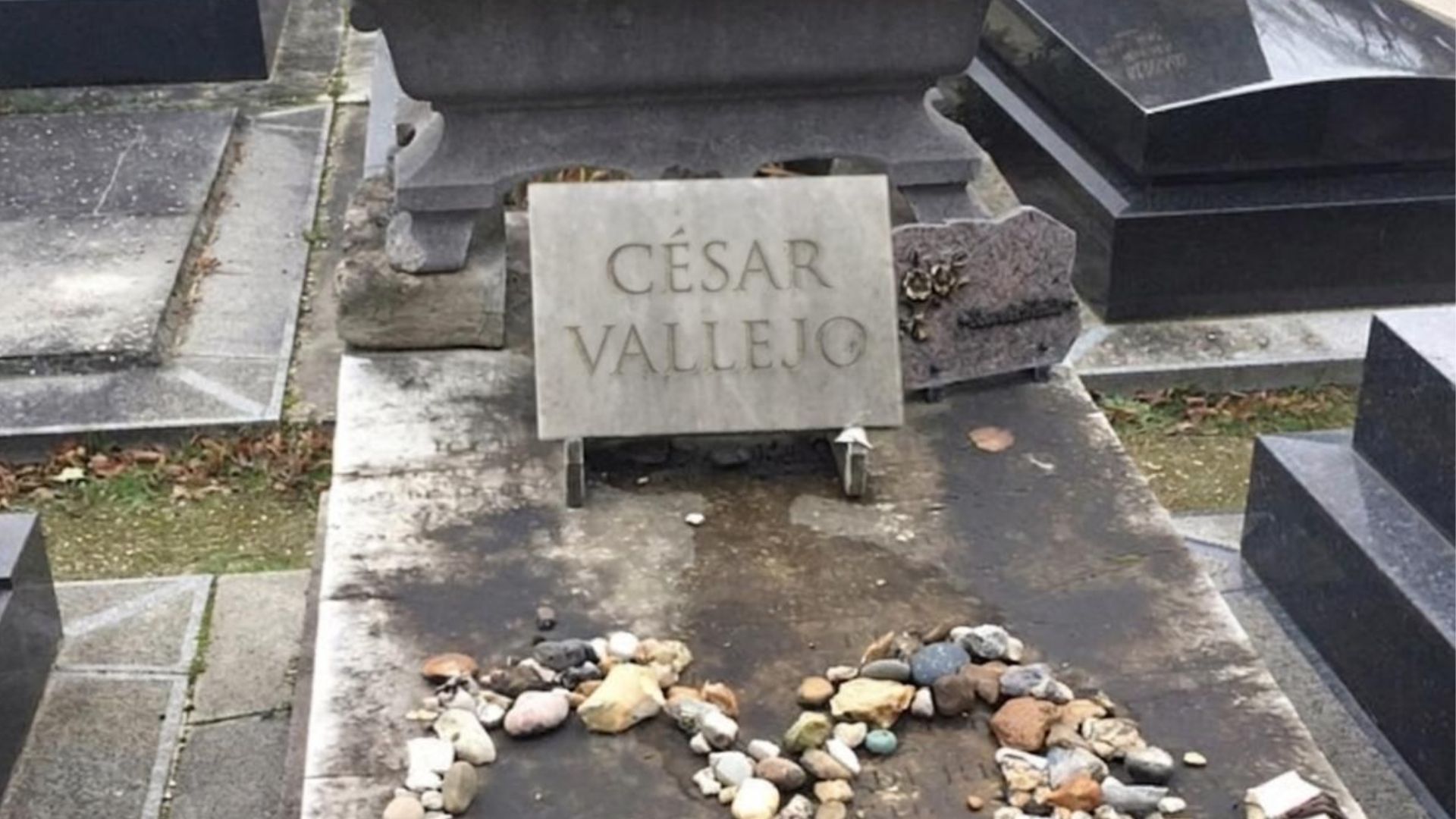 Pre-Texts at Montparnasse Cemetery: An Amoeba Tour
